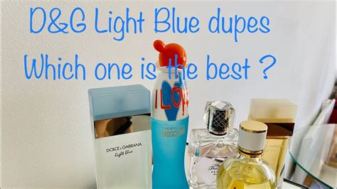 dupe for d&g light blue